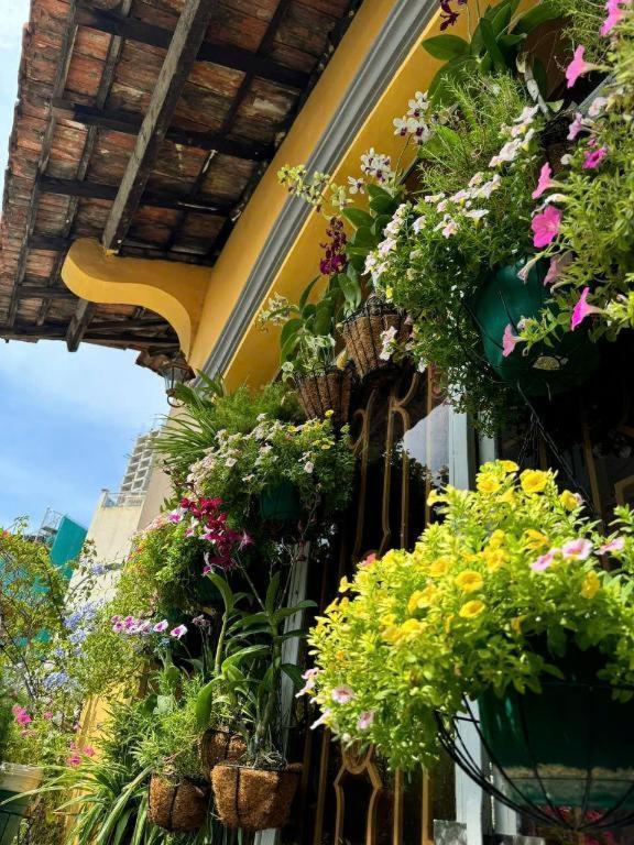 Hotel Son Tung - De Tham Street