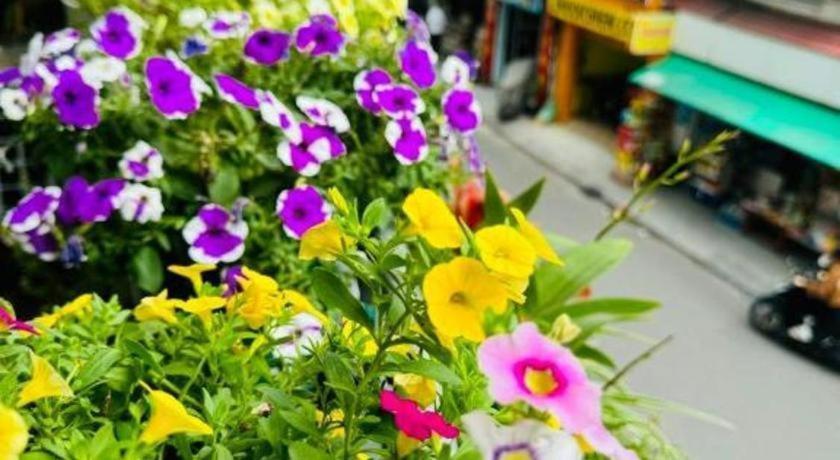 Son Tung - De Tham Street Hotel Ho Chi Minh City